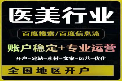 SEM主管实战：案例分析与优化策略